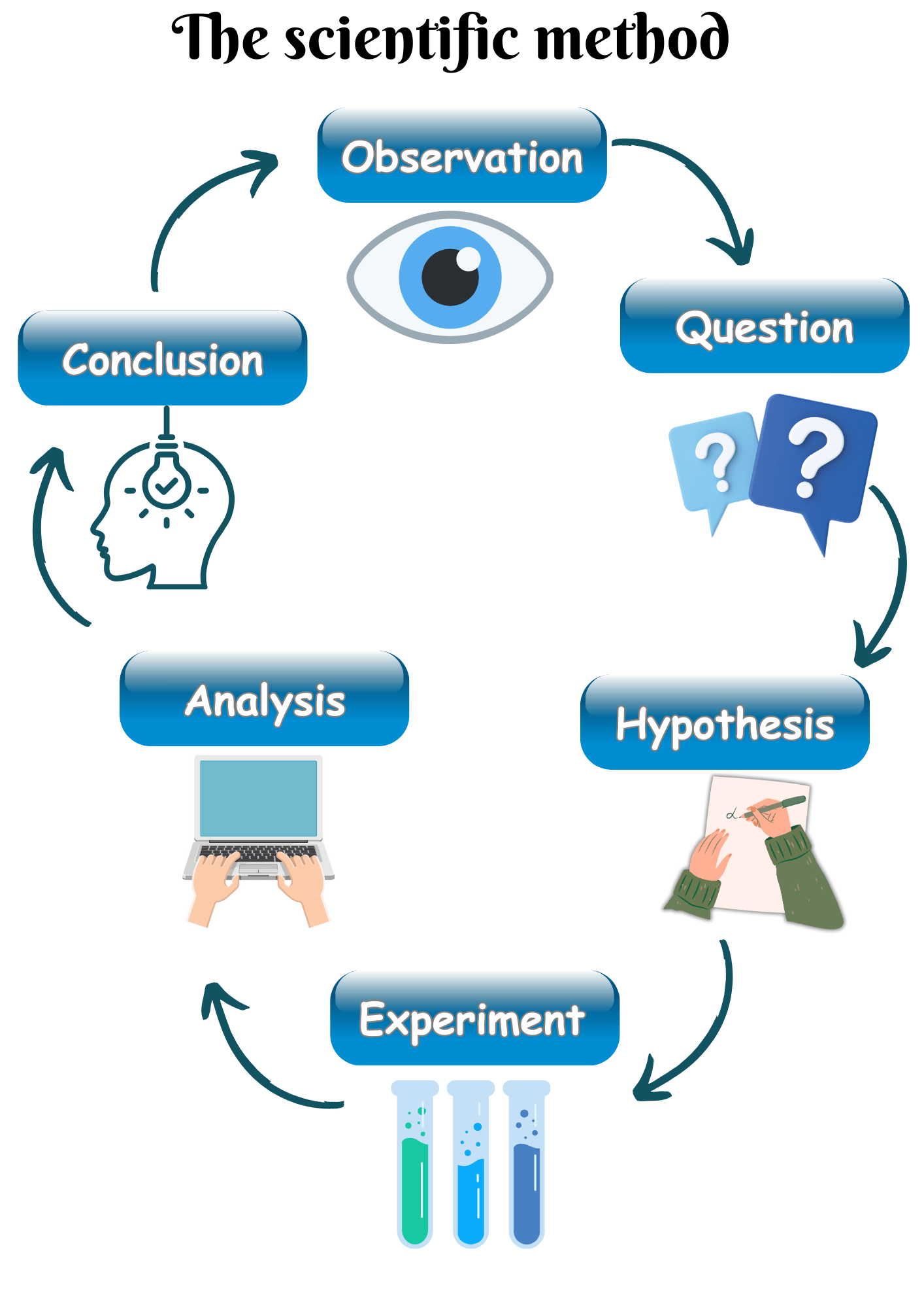 The Scientific Method vs. The Engineering Design Process - Inbal's ...